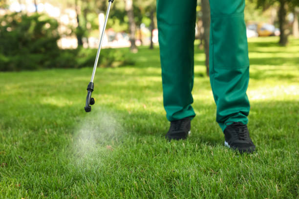 Best Affordable Pest Control Services  in Huron, OH