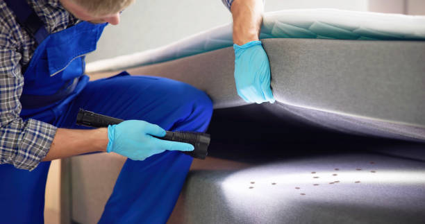 Best Affordable Pest Control Services  in Huron, OH
