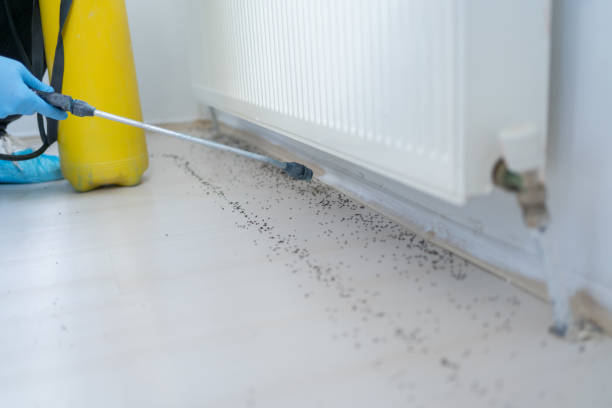 Pest Prevention Services in Huron, OH