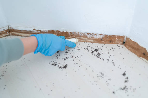 Best Pest Control for Businesses  in Huron, OH