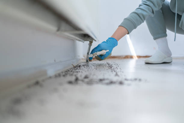 Reliable Huron, OH Pest Control Solutions