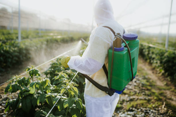 Flea Control Services in Huron, OH